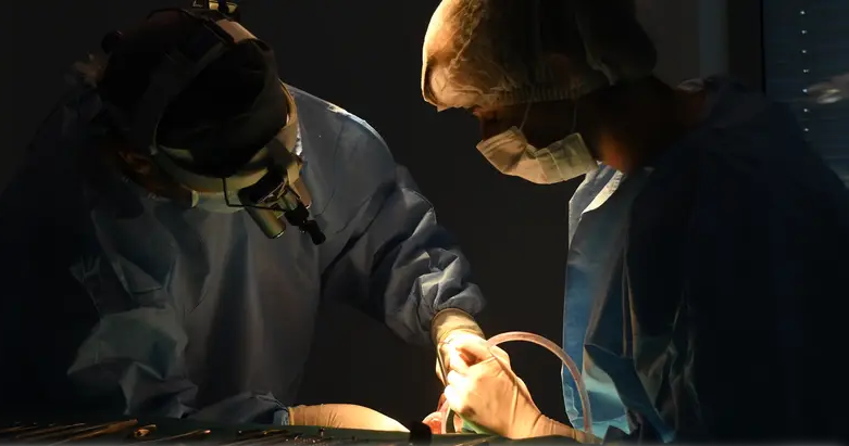 formateurs dentisterie