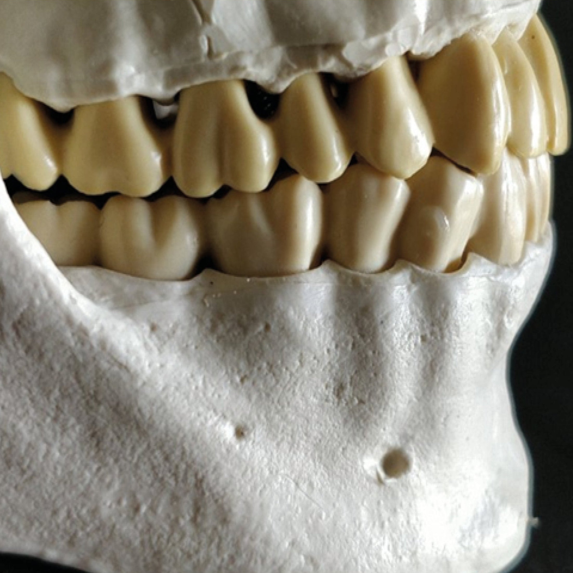 Anatomie clinique
