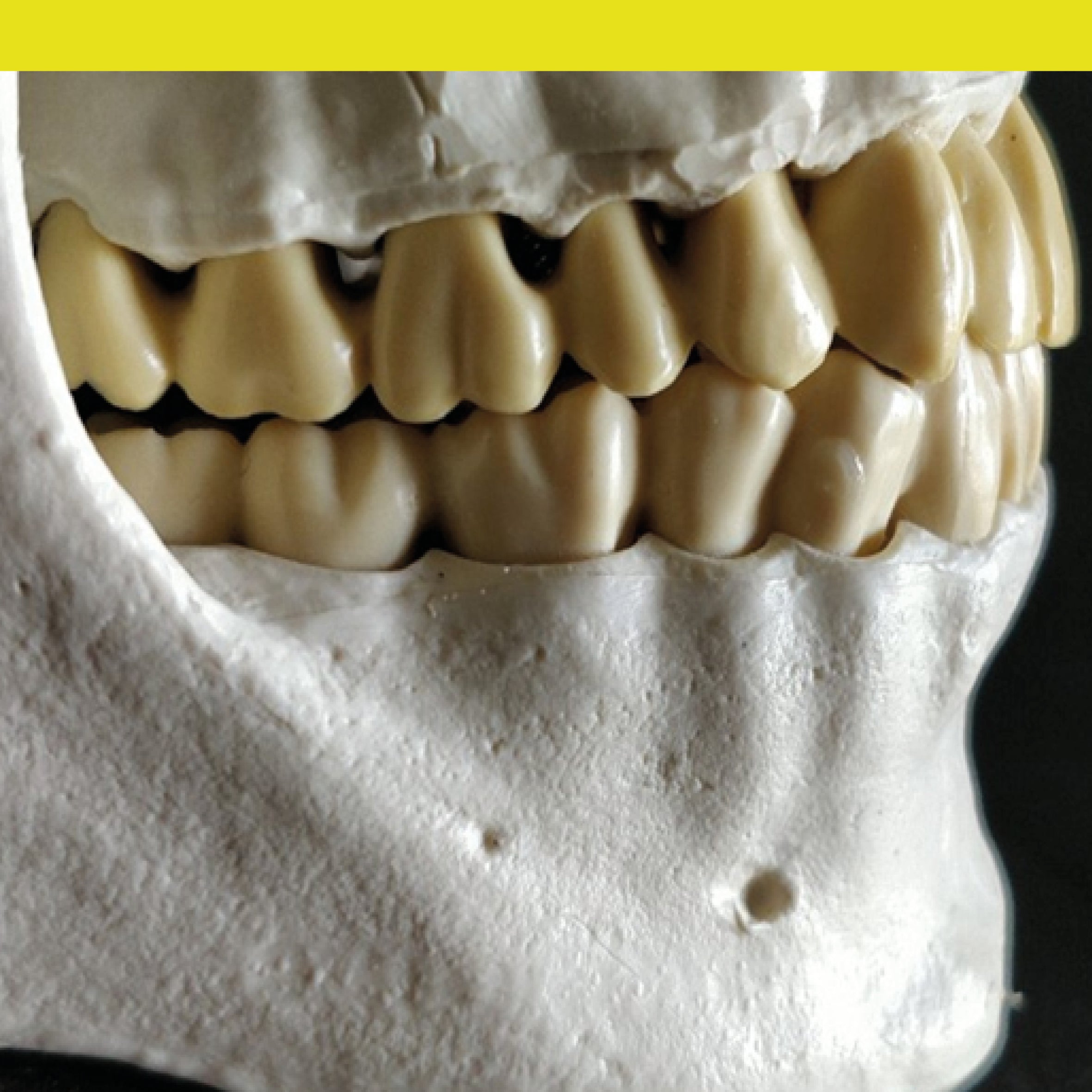Anatomie clinique